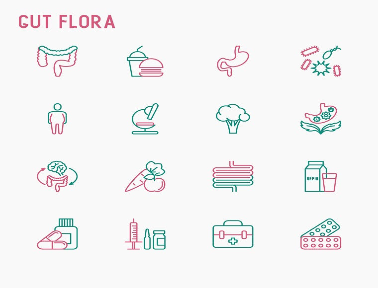 A graphic titled Gut Flora that shows photos of the digestive system intermingled with various foods and vegetables. 