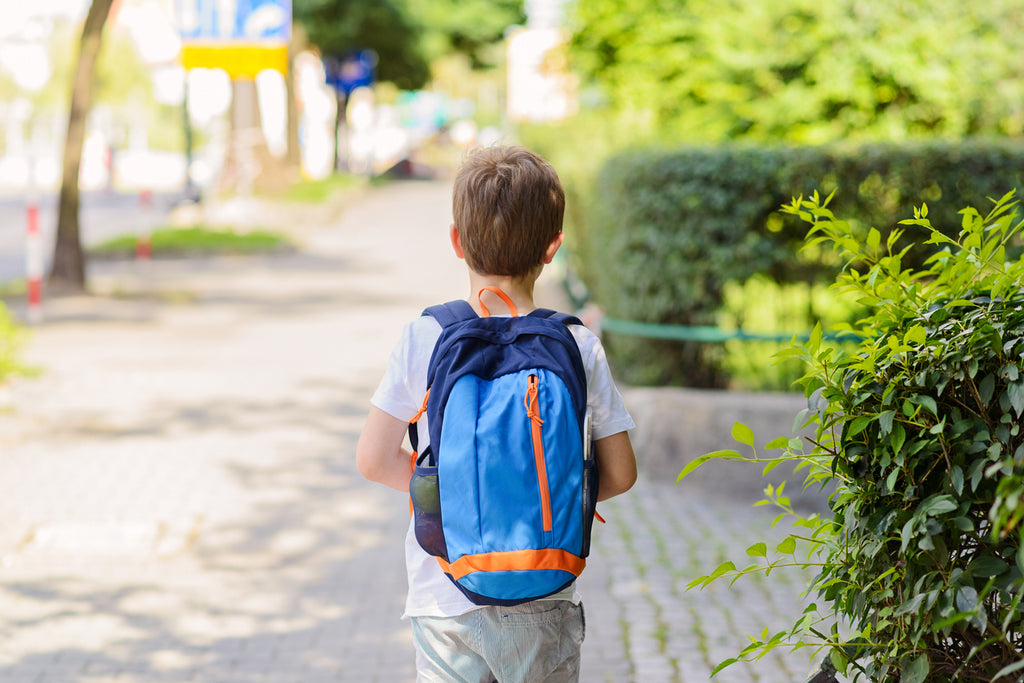 The Super Back-to-School Immune Support Strategy