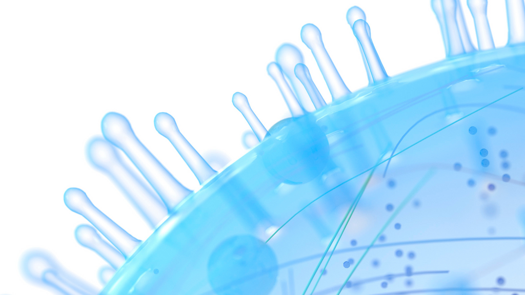 Mitochondria and Me