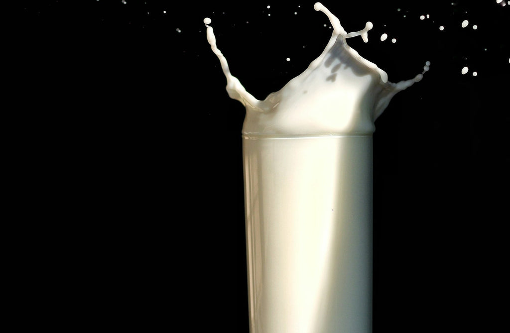 Is Dairy Really Inflammatory? The Science May Surprise You
