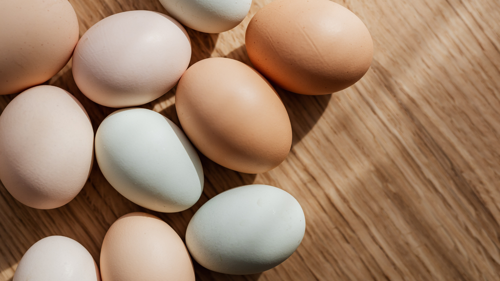 Eggs are great source of protein and other nutrients 
