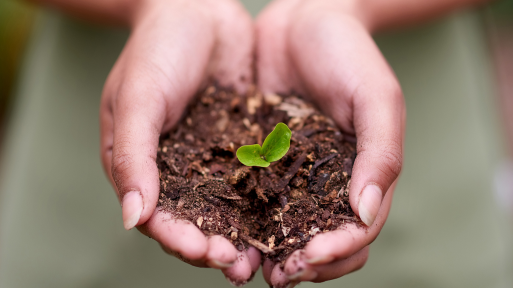 A person nurturing a plant to grow - which is an analogy to nurturing one's mental health