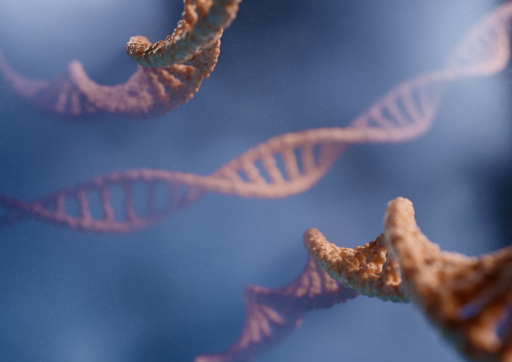 The Genetic Factor