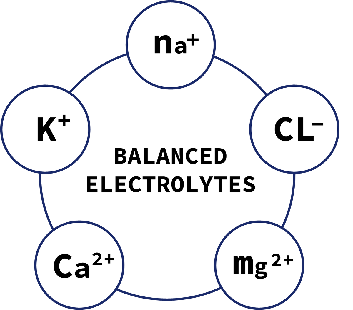 Electrolyte Homeostasis – Health By Principle